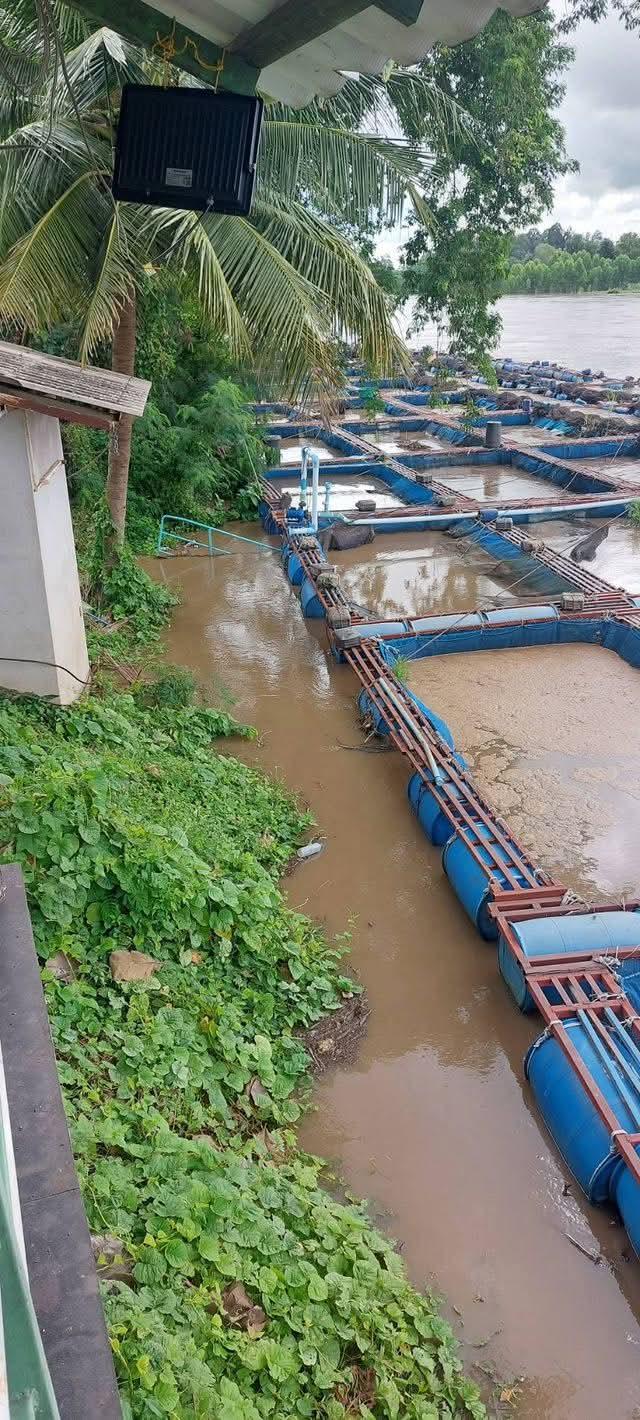 �ç�ҹ ��������