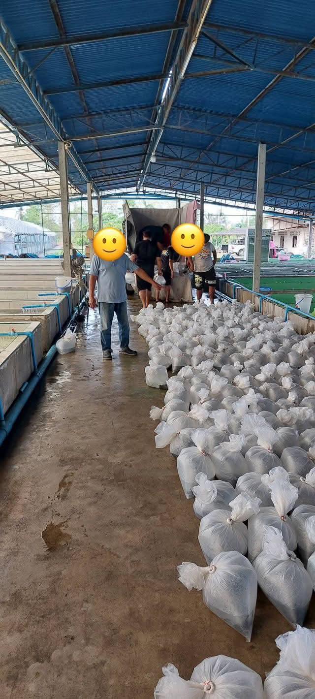 ����ç�ҹ ���ͧ��ᾧྪá�ᾧྪ�