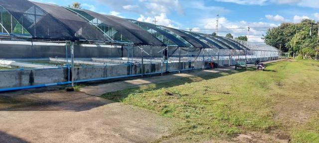 ����ç�ҹ ���ͧ��ᾧྪá�ᾧྪ�