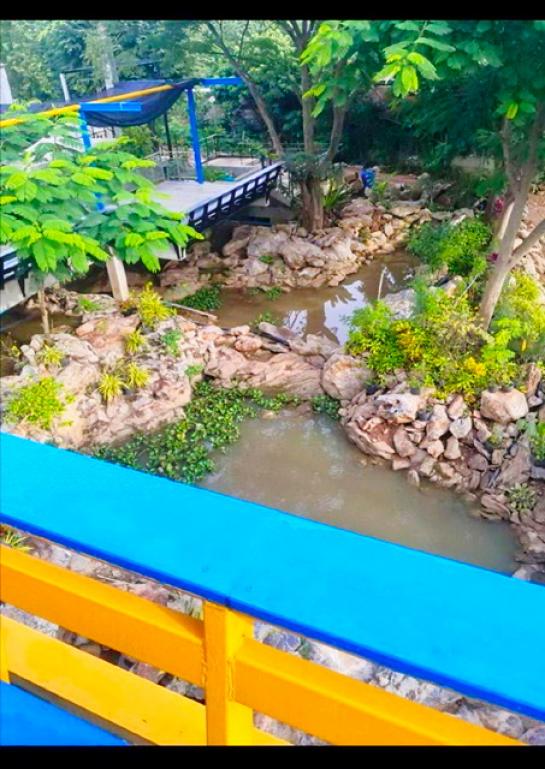 �Ҥ�þҳԪ�������� �ҡ��ͧ ����Ҫ����