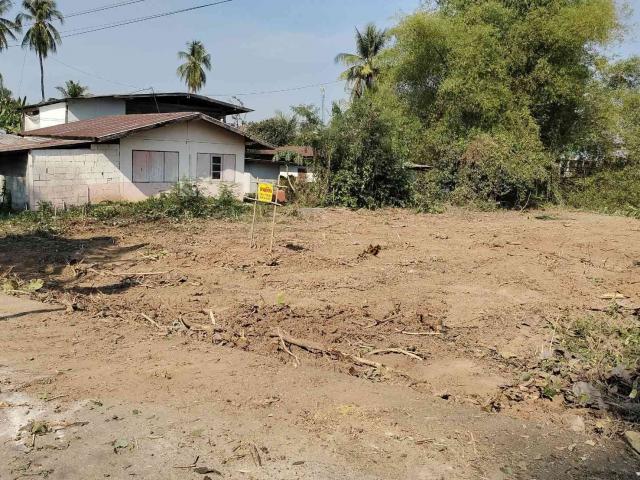 ���Թ �ԨԵ� ˹�ҡ��ҧ