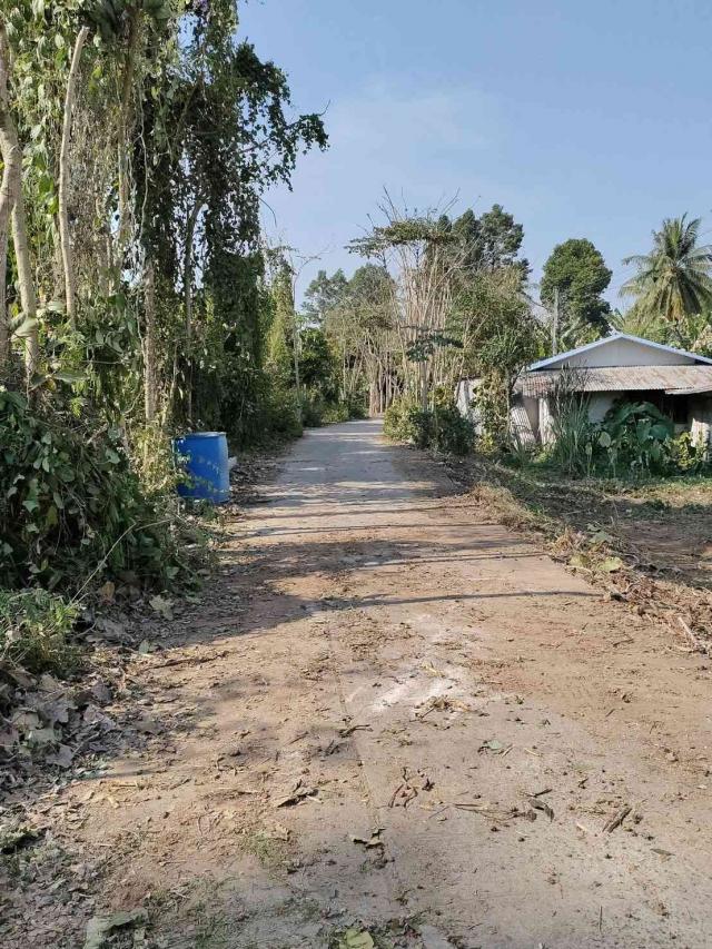 ���Թ �ԨԵ� ˹�ҡ��ҧ�Դ���