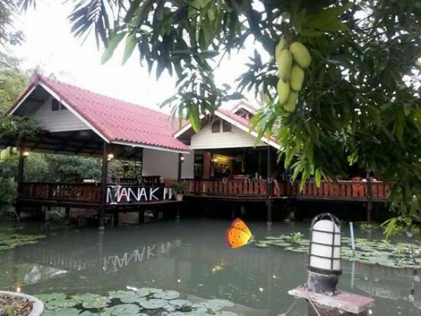 ��áԨ�ҧ�Ź ��û��