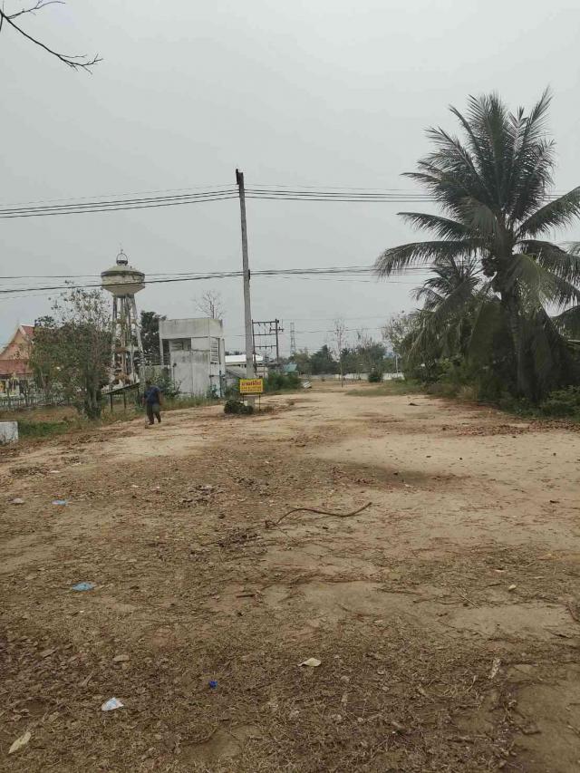 ���Թ �ԨԵ� 俿����Ҷ֧