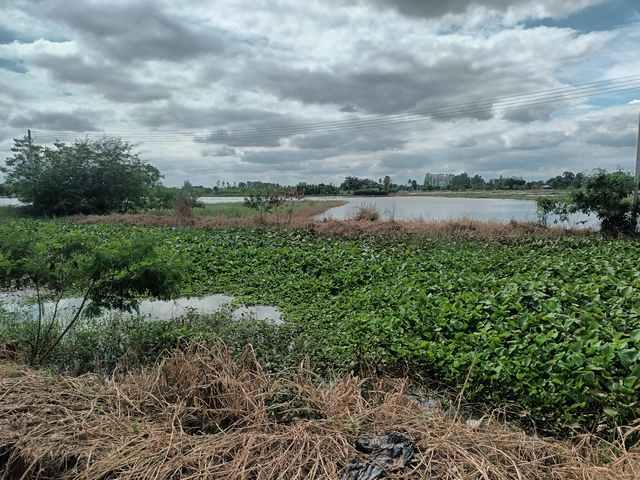 ��·��Թ ����ء�ؾ�ó����