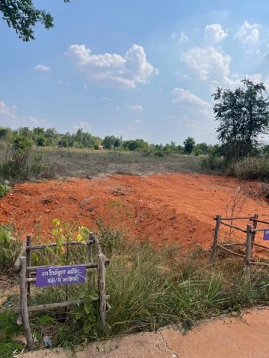 ���Թ ���ͧ �͹��