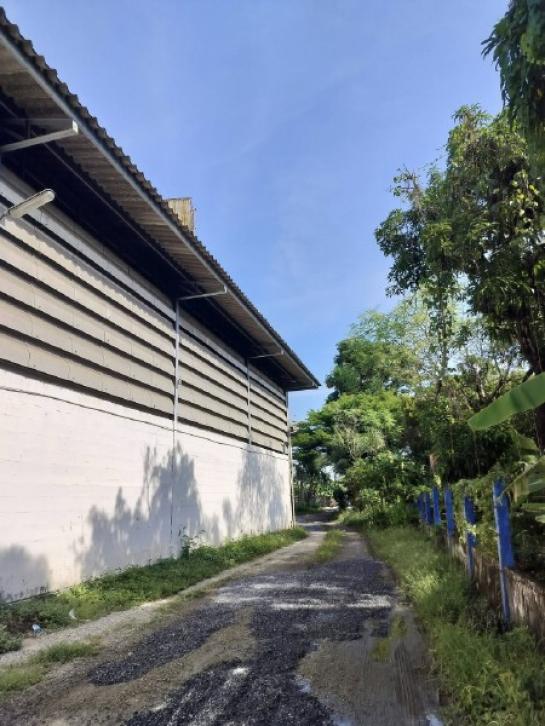 �ç�ҹ������ �ҧ�����طû�ҡ��