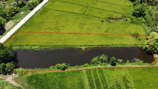 ��·��Թ ���ͧ�Ӿٹ�Ӿٹ