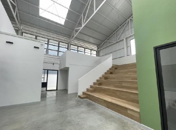 �ç�ҹ������ �ҧ�ع��¹