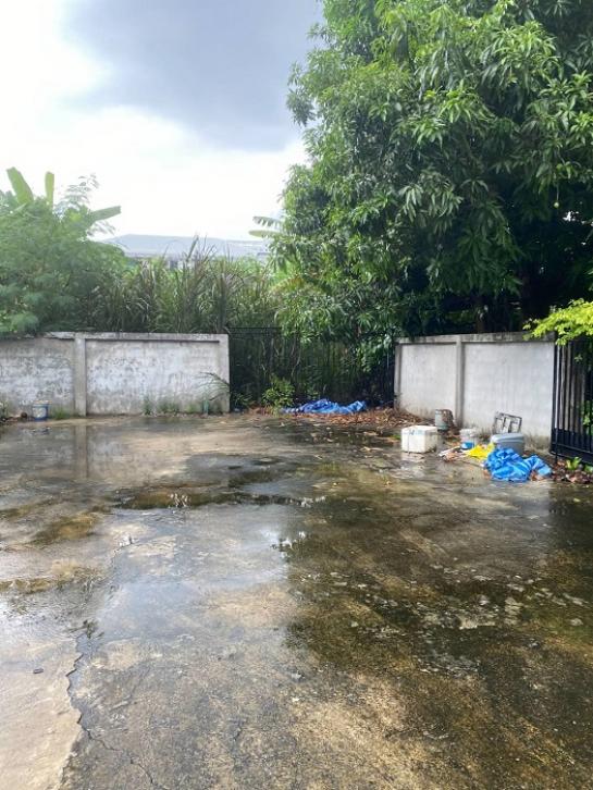 ���Թ�Ѳ��