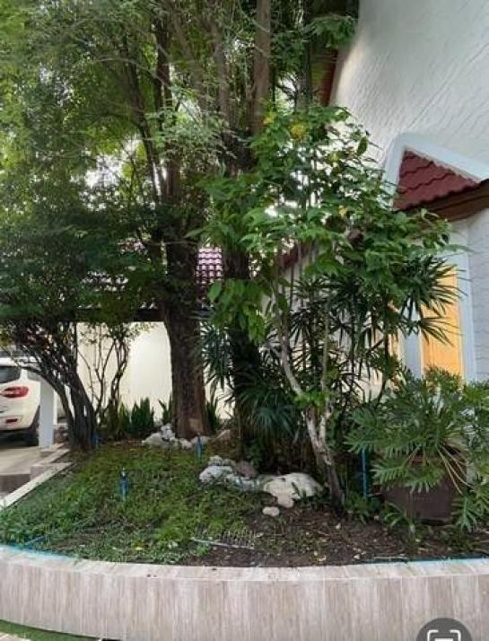 ��ҹ����ǵ��觾�������� ��ͧ��