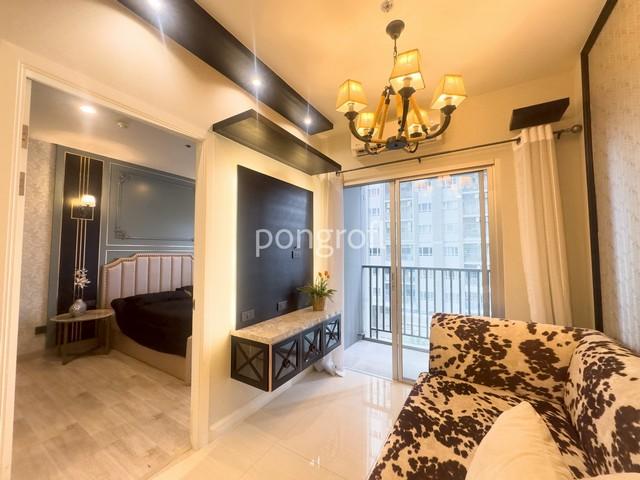 ��¤͹� 31���