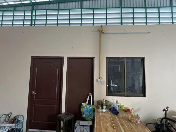 ����ç�ҹ �ҧ�ع��¹��ا෾