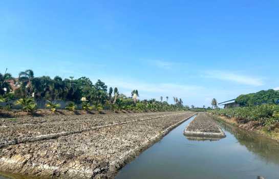 ��·��Թ �����ҹ��û��