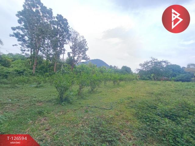 ����Ҫ���� �� The Best Property Agent