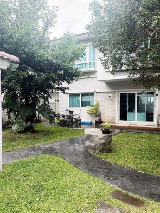 ��º�ҹ �ѹ��ᾧ��§����