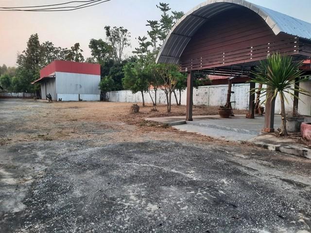 ����ç�ҹ ⾹�ͧ �������