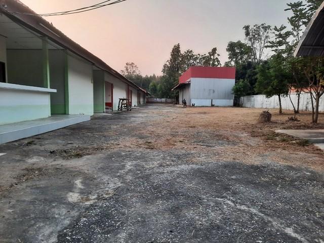 ����ç�ҹ ⾹�ͧ �������