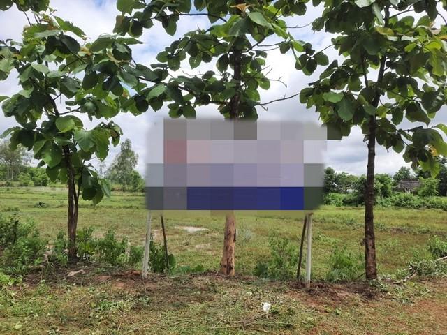 ���Թ �֧���