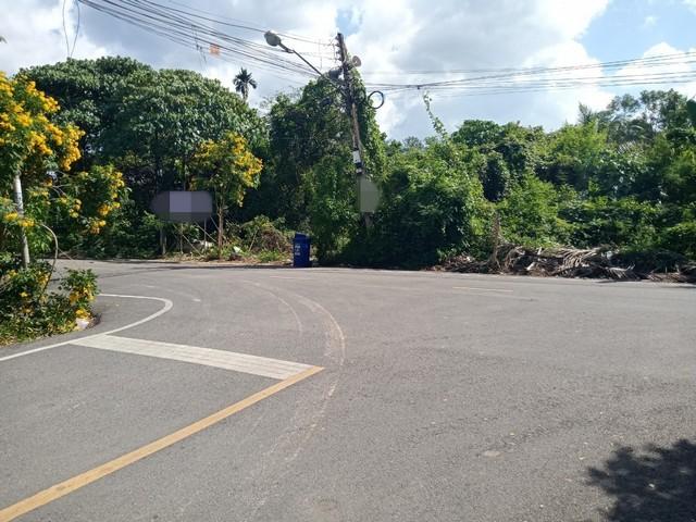 ���Թ ��ѧ