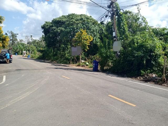 ��·��Թ ��ҹ�Ң�ǵ�ѧ