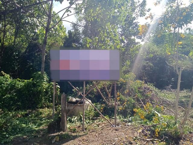 ��·��Թ ��ҹ�Ң�ǵ�ѧ