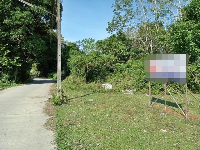 ขายที่ดิน 1,000,000 บาท ขายที่ดิน 1,000,000 บาท