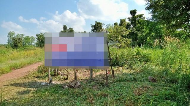 ���Թ���ͧ��ᾧྪ� ��ᾧྪ�