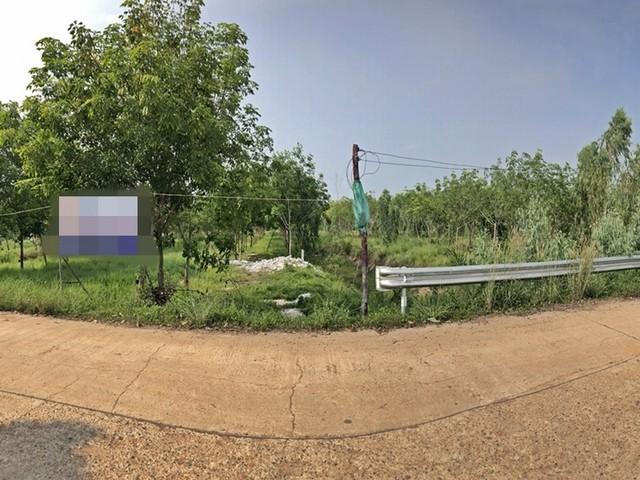 ���Թ �֧���