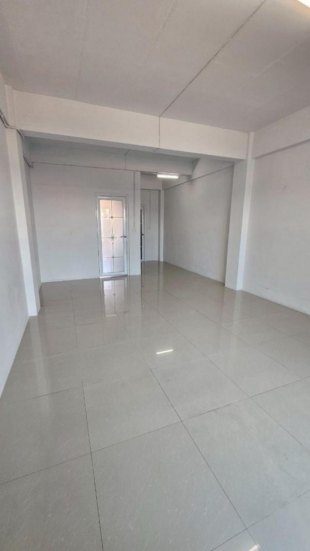 �Ҥ�þҳԪ�������� �ҧ���ا�ź���