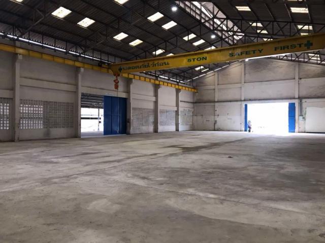 �ç�ҹ������ �ѹ�����