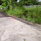 ���Թ����� �����ҹ�