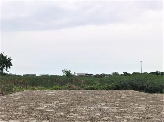 ��·��Թ ����