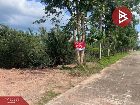 ���Թ �� ��� �����