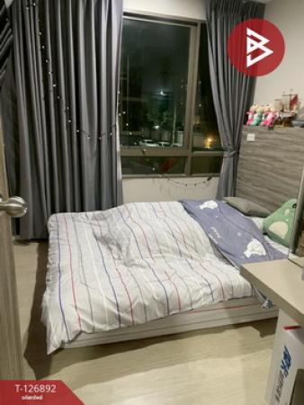 ��¤͹� �Թᴧ