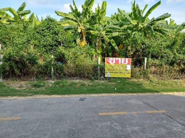 ��ا෾ �� zionasset1