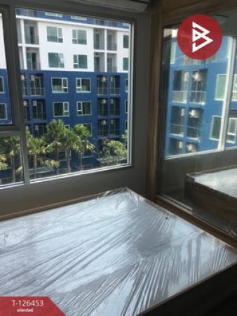 ��¤͹� �͹���ͧ