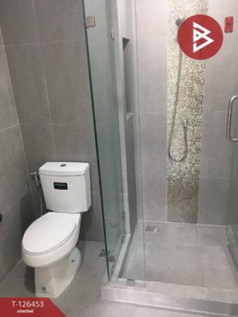 ��¤͹� �͹���ͧ