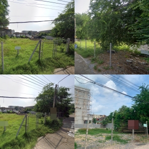 �ǹ��ǧ �� All Living