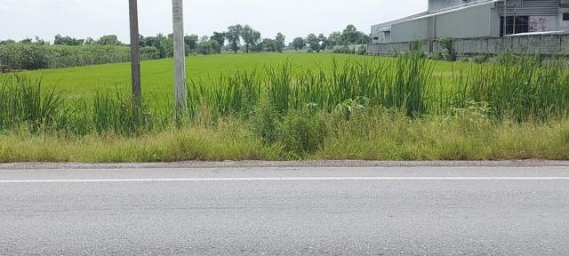 ขายที่ดิน เมือง 14 ไร่ ขายที่ดิน เมือง 14 ไร่