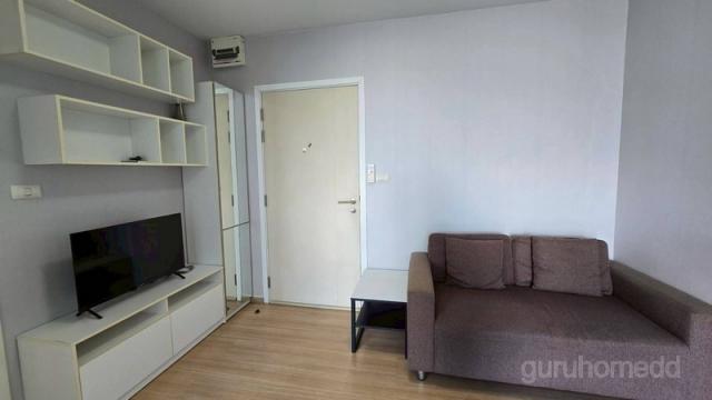 �͹������� �ҧ�