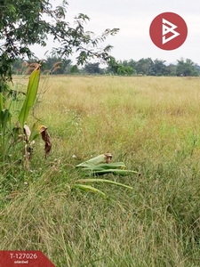 ���Թ �ԧ ��§���