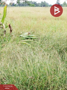 ��·��Թ �ԧ��§���