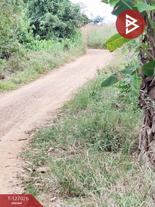 ��·��Թ �ԧ��§���