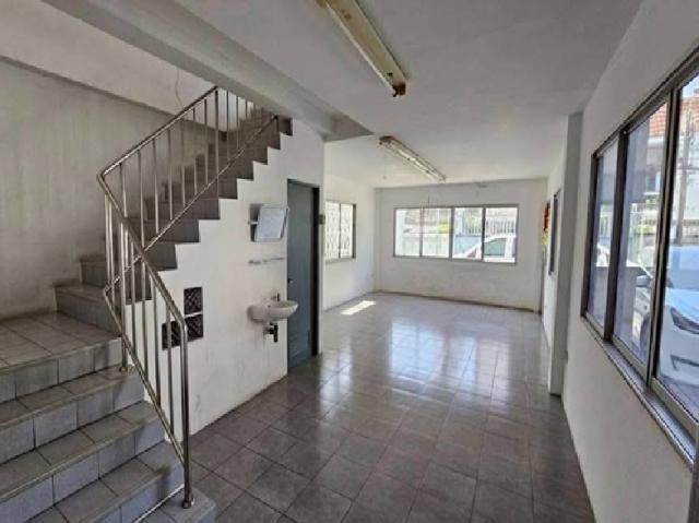 ⡴ѧ������ �ҧࢹ��ا෾