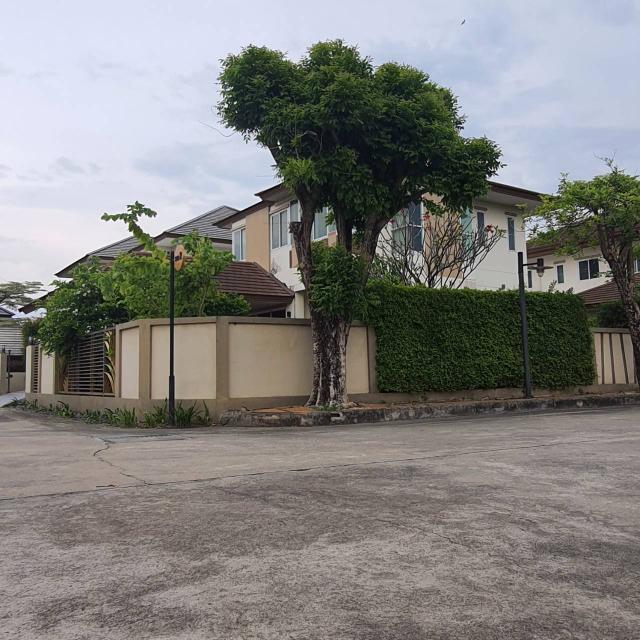 ��º�ҹ����� ����Ѳ�ҡ�ا෾