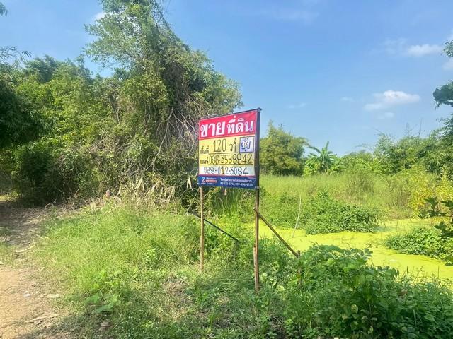 ������ �� zionasset1