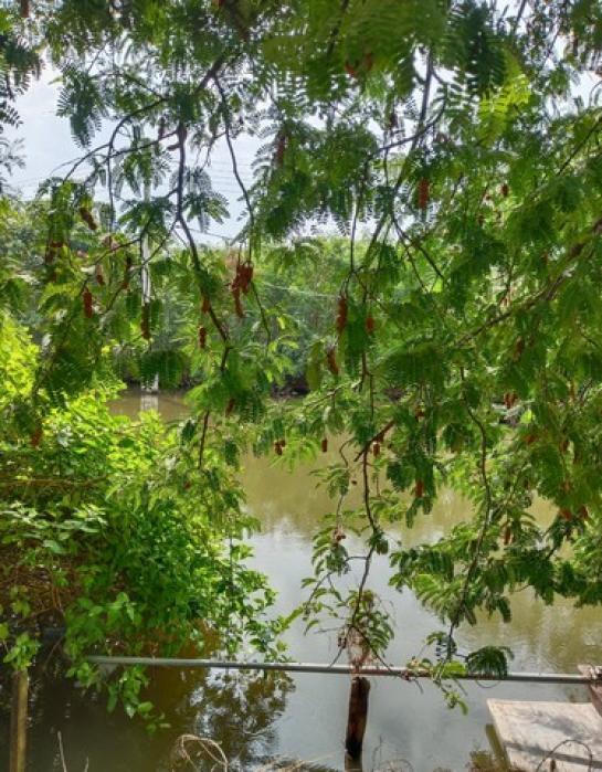 ��·��Թ ��觤�ء�ا෾