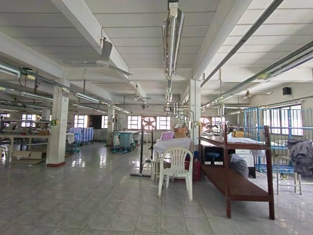 ����ç�ҹ �ҧ�ع��¹