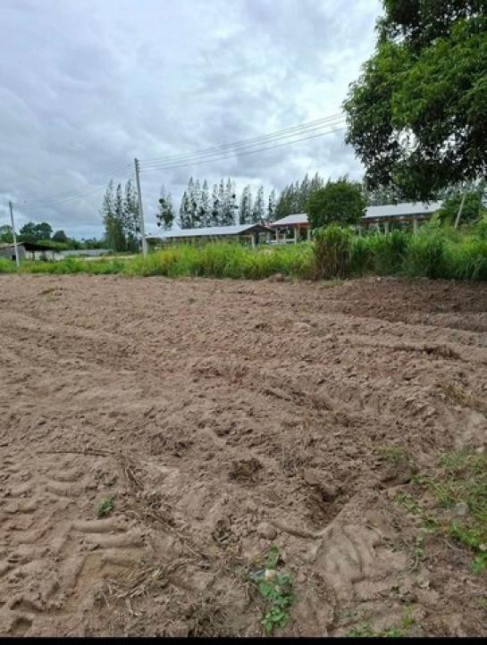 ที่ดิน ติดถนนคอนกรีต 3708 ตารางวา ที่ดิน ติดถนนคอนกรีต 3708 ตารางวา